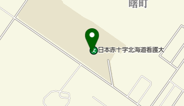 私立日本赤十字北海道看護大学の地図画像