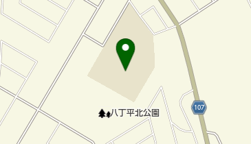 室蘭市立八丁平小学校の地図画像