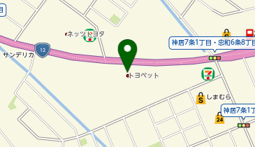 ネッツトヨタたいせつ神居店の地図画像