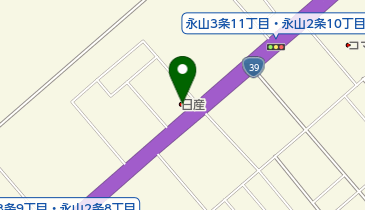 旭川日産永山店の地図画像