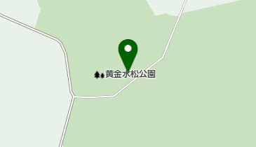 黄金水松の地図画像