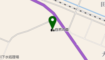 自然の森の地図画像