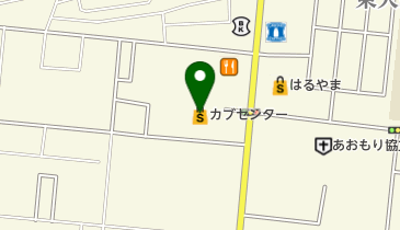 カブセンター大野店の地図画像