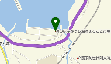 海中探勝遊覧船ミエールふかうらの地図画像