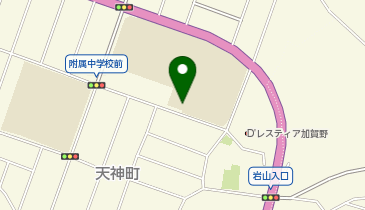 国立大学法人岩手大学教育学部附属中学校の地図画像