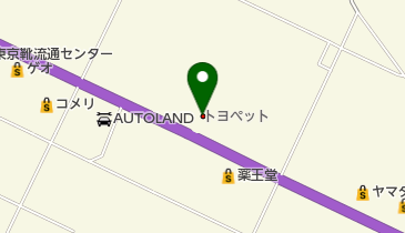 岩手トヨペット遠野支店の地図画像