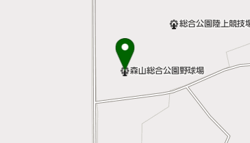 しんきん森山スタジアムの地図画像