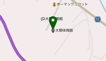 洋野町大野体育館の地図画像