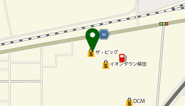 ザ・ビッグ柴田店の地図画像