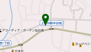 宮城トヨタ自動車カローラ泉中央の地図画像