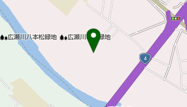 広瀬川若林緑地野球場の地図画像