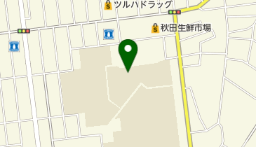 国立秋田大学教育文化学部附属特別支援学校の地図画像