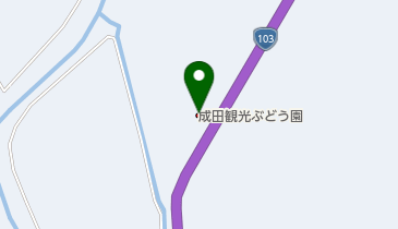 成田観光ぶどう園の地図画像