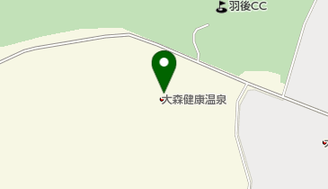 大森健康温泉の地図画像