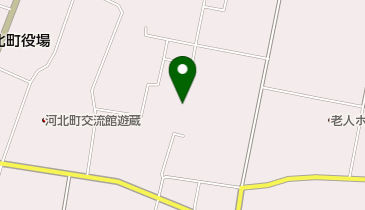 東林寺の地図画像