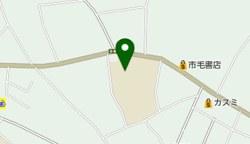 ひたちなか市立佐野小学校の地図画像