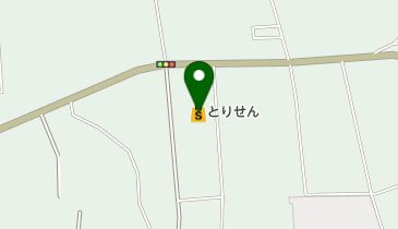 とりせん大沢店の地図画像