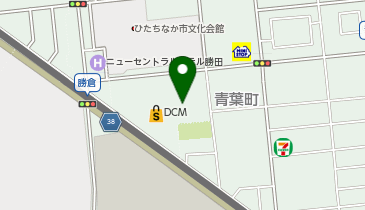 Can★Do勝田店の地図画像