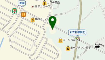 フォルクスワーゲン守谷の地図画像