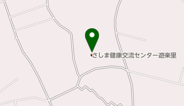 正康 坂東 ギャラリー】2025 SUPER GT RD.6 SUGO 11号車 GAINER TANAX Z