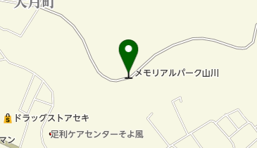 メモリアルパーク山川の地図画像