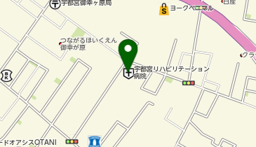 一般社団法人巨樹の会宇都宮リハビリテーション病院の地図画像