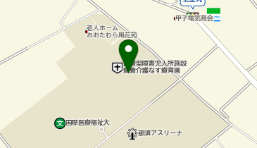 医療型障害児入所施設療養介護なす療育園の地図画像