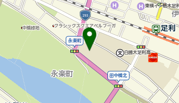 私立白鴎大学足利高校の地図画像