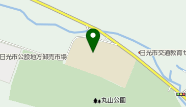 栃木県立今市特別支援学校の地図画像
