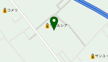 フードオアシスOTANI大沢店の地図画像