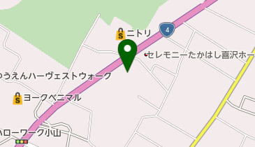 東日本三菱自動車販売小山喜沢店の地図画像