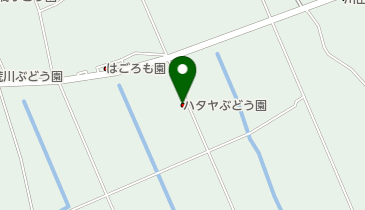 ハタヤぶどう園の地図画像