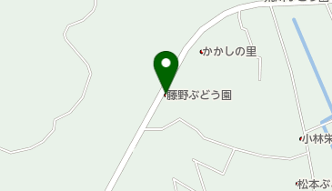 藤野ぶどう園の地図画像