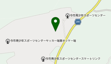 今市青少年スポーツセンター体育館の地図画像