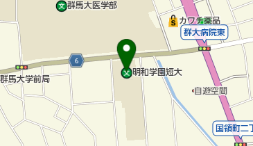 私立共愛学園前橋国際大学短期大学部の地図画像
