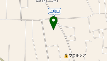 認定こども園金山幼稚園の地図画像