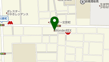 WonderREX前橋文京店の地図画像