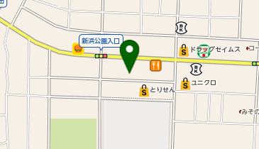 ダイソーとりせん太田新井店の地図画像