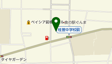 (有)前橋オートセンターの地図画像