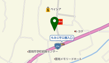 カーブス高崎富岡の地図画像