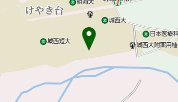 城西大学水田記念図書館の地図画像