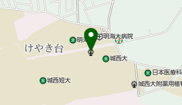 城西大学水田美術館の地図画像