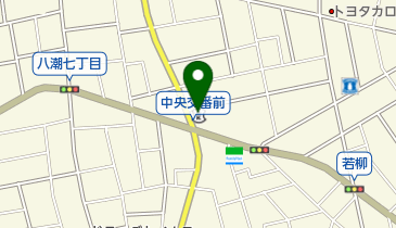 亀有信用金庫八潮支店の地図画像