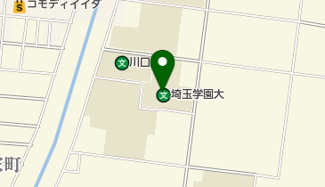 私立埼玉学園大学の地図画像