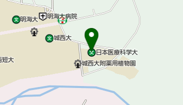 日本医療科学大学の地図画像