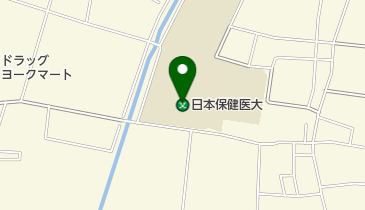 私立日本保健医療大学幸手南キャンパスの地図画像