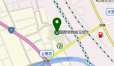 私立国際学院埼玉短期大学の地図画像