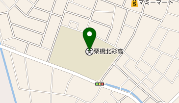 埼玉県立栗橋北彩高校の地図画像
