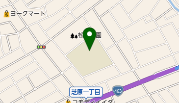 さいたま市立芝原小学校の地図画像