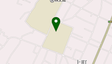 秩父市立花の木小学校の地図画像